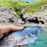 与你一起玩攒全球→小星山