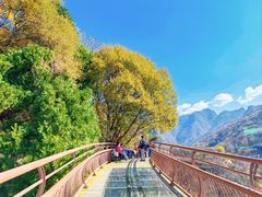 -少华山国家森林公园