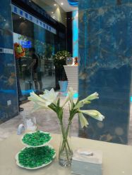 -清颜专业祛痘连锁店