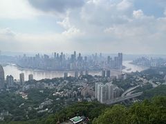 -南山植物园