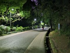 -阿哈湖国家湿地公园