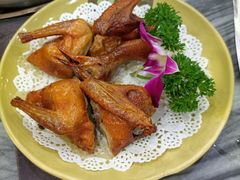 -鸽鸟轩(石岐店)
