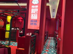 -南锣肥猫·麻辣烤鱼·16年现烤现卖(财富购物中心店)