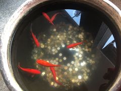 -到家尝北京菜(西坝河店)
