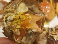 -南京维景国际大酒店(南京博物院店)