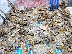 -半岛听涛蒸汽海鲜自助(K11店)