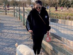 -前小桔亲子创意农场·草莓采摘·露营烧烤