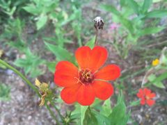 -安吉龙王山峡谷漂流