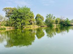 -西溪国家湿地公园