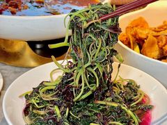 -天辣(金桥啦啦宝都店)
