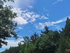 -棒棰岛宾馆景区