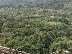 -海南白石岭旅游区