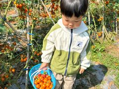-光明小镇欢乐田园