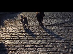 -华联商厦(火车站店)