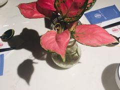 -后海16号·北京私房菜