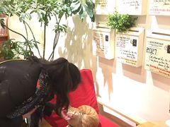 -猫的天空之城概念书店(丽江古城饮玉巷店)