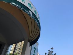 门面-青岛海景花园大酒店·白果树餐厅青岛菜