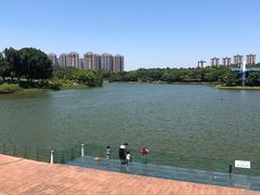 -东莞植物园