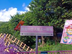 -青青世界