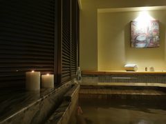 -春晖园度假酒店温泉