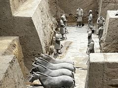 -秦始皇帝陵博物院(兵马俑)