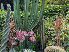 -莆田湄洲妈祖祖庙