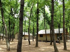 -东海森林温泉度假酒店
