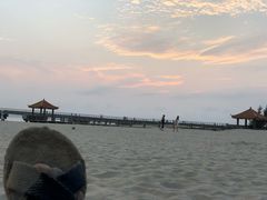-东郊椰林