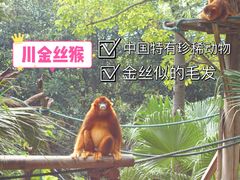 -广州长隆野生动物世界
