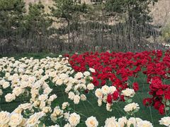 -秦岭终南山世界地质公园翠华山景区