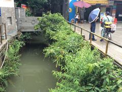 -小洲村