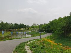 -东郊湿地公园