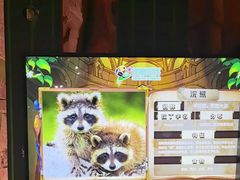 -正佳雨林生态植物园