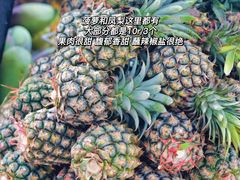 -羊栏农贸市场(羊新路店)