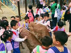 -广东花都香草世界旅游度假区
