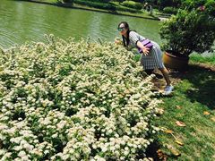 -上海鲜花港