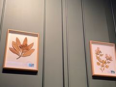 -章记星洲 · 新加坡餐厅(望京店)