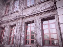 -半岛公馆(淞兴西路店)