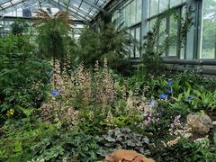 -国家植物园南园