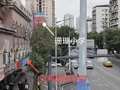 -贝利宠物医院·骨科·眼科·肿瘤转诊中心(南坪诊疗中心)