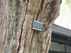 -苏州文庙(姑苏区)
