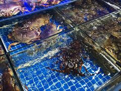 -众彩物流水产市场