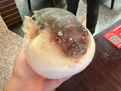 -永安鱼庄·镇江菜(东吴路店)