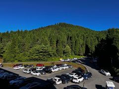 -武陵山森林公园