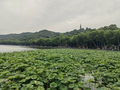 -北山街历史文化街区
