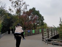 -吴淞炮台湾湿地森林公园烧烤区