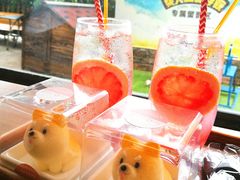 -柴犬高等学院·狗咖·柴犬售卖·宠物训练