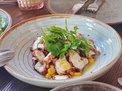 八爪鱼配烤玉米-BOR Eatery(安福路店)