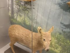 -下渚湖国家湿地公园科普馆