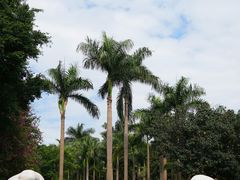 -广州雕塑公园